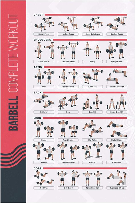 Exercise Poster, Dumbbell Exercises, Dumbell Workout, Barbell Workout, Workout Posters, Daily Exercise Routines, Major Muscles, Glute Bridge, Workout Chart