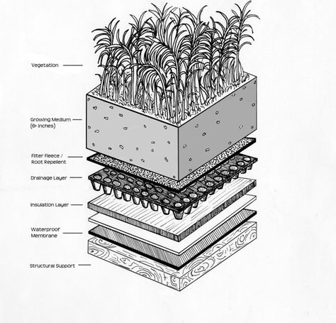 Rooftop Amenities, Extensive Green Roof, Green Roof Garden, Construction Details Architecture, Green Roof System, Garden Details, Pattern Language, Roof Garden Design, Green Roofs