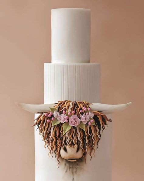 Highland Cow Wedding Cake, Highland Cow Cake Tutorial, Popular Cake Designs, Highland Cow Cake, Fondant Face, Cow Cupcakes, Cow Cake, Cow Cookies, Cow Cakes