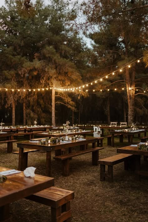 Arizona Fall Wedding, Arizona Wedding Reception, Prescott Az Wedding, Flagstaff Wedding Venues, Arizona Forest Wedding, Wedding Venue Arizona, Flagstaff Arizona Wedding, Schnepf Farms Wedding, Az Wedding Venues