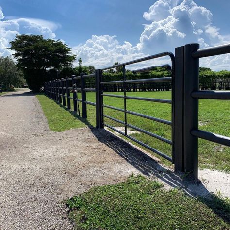 A metal ranch fence. Pasture Fencing Ideas, Ranch Fencing Ideas, Cattle Fence Ideas, Ranch Fence Ideas, Horse Fencing Ideas, Ranch Fence, Livestock Fence, Goals 2025, Unusual Horse