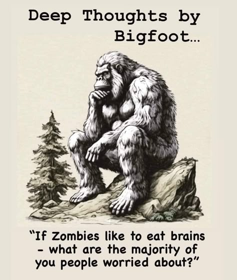 Bigfoot Drawing, Goofy Quotes, Bigfoot Pictures, Bigfoot Art, Finding Bigfoot, Bigfoot Sightings, Bigfoot Humor, Christmas Memes, Bigfoot Sasquatch