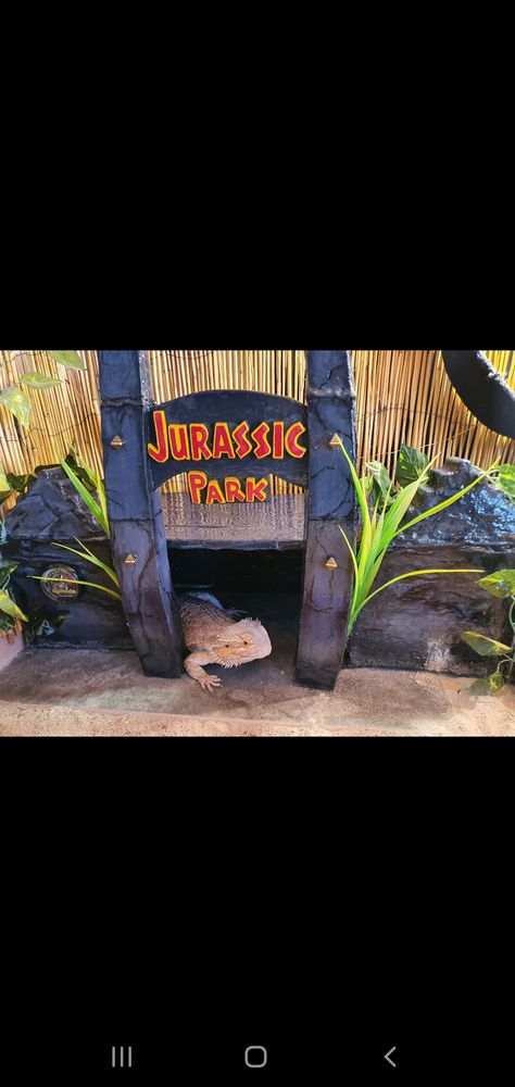 Themed Reptile Enclosure, Reptile Decor Diy, Tv Stand Reptile Enclosure, Reptile Exhibit, Jurassic Park Reptile Tank, Reptile Hide, Reptile Decor, Reptile Terrarium, Reptile Cage