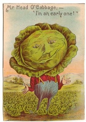 Mr. Head O'Cabbage Cabbage Head, Vintage Seed Packets, Illustration Vintage, Old Postcards, Illustration Digital, Card Illustration, Vintage Labels, Vintage Ephemera, Vintage Cards