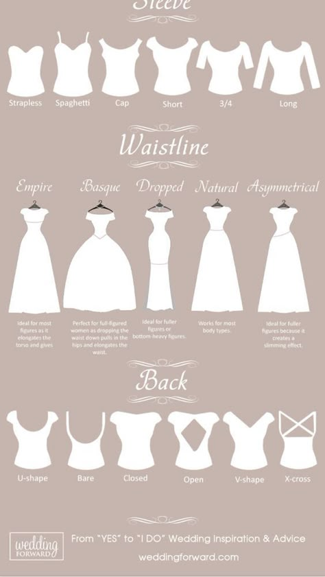 Types Of Wedding Gowns, Wedding Dress Types, Fashion Dictionary, Fashion Terms, Wedding Dress Guide, Fashion Vocabulary, Dress Guide, Dress Drawing, Fashion Design Drawings