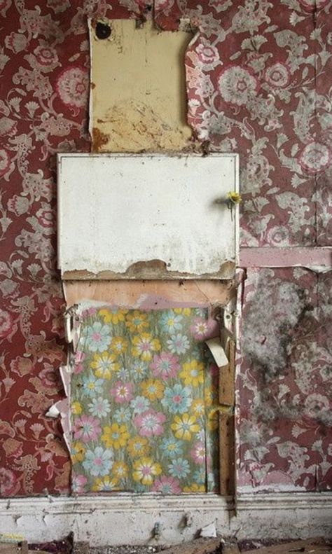 Peeling Wallpaper, Diy Bird Feeder, Diy Birds, Peeling Paint, Motif Vintage, Old Wall, Wallpaper Vintage, Old Wallpaper, Back To Nature