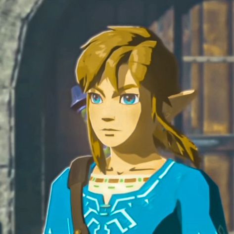 Link Zelda Reference, Link From Zelda Breath Of The Wild, Botw Link Hair, Link Legend Of Zelda Breath Of The Wild, Link Breath Of The Wild Screenshots, Legend Of Zelda Link Haircut, Link Zelda Breath Of The Wild, Botw Link Pfp, Link Screenshots