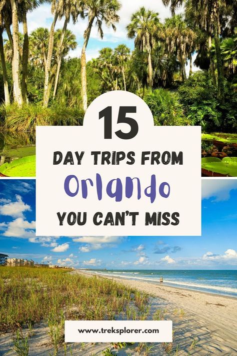 Dreaming of day trips from Orlando, Florida? Immerse yourself in the natural wonders of Ocala National Forest, uncover the charm of historic Tarpon Springs, and relax on the sandy shores of New Smyrna Beach. Florida's diverse landscapes promise endless adventure! Beaches Near Orlando, Orlando Florida Vacation, Legoland Florida, Visit Orlando, Orlando Travel, Orlando Vacation, Florida Trip, Usa Travel Guide, Visit Florida