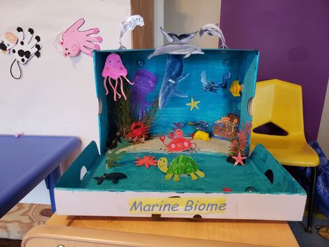 Biome Shoebox Project, Shoebox Project, Project School, Box Project, Biome, School Project, Fall Festival, School Projects, Shoe Box