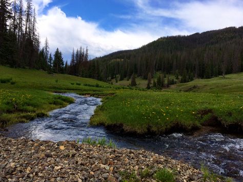 Took a drive out along forest road 390 past Tucker Ponds and came upon this beautiful mountain meadow with a little stream running through it. Meadow With River, Meadow With Stream, Blue Ridge Mountains Art, Colorado Scenery, Forest Meadow, Calm Place, Mountain Meadow, House Lannister, Secret Book