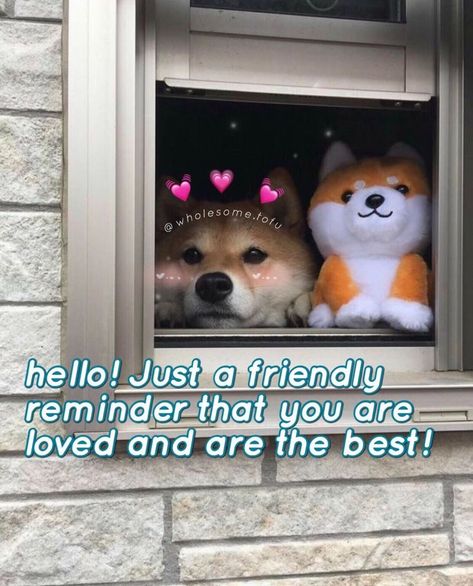 Just a reminder to you all! ✨ Heart Memes, Love You Meme, Best Friends Cartoon, What Do You Meme, Funny Good Morning Quotes, Cute Love Memes, Friend Cartoon, You Are My Life, You Are Loved