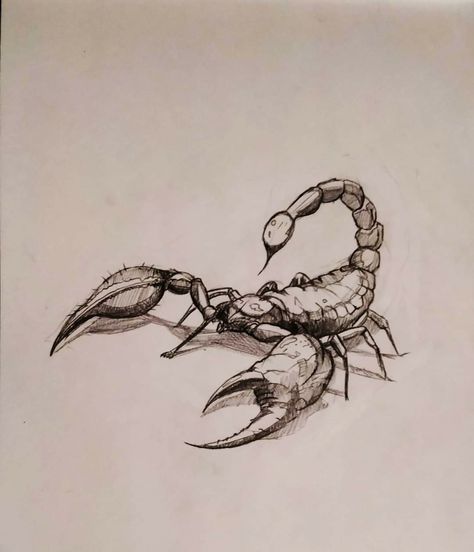 Scorpio Sketch, Animal Tattoos For Men, Kraken Art, Scorpio Art, Scorpio Tattoo, Bull Tattoos, Scorpion Tattoo, Alien Tattoo, Spider Tattoo