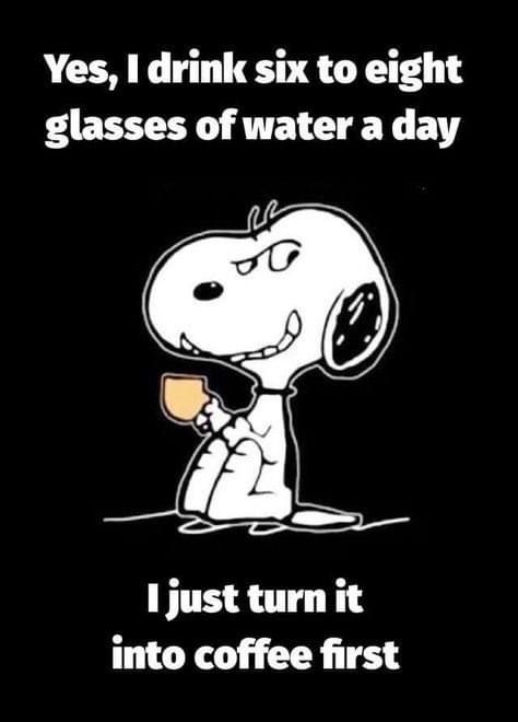 Cute Coffee Quotes, Goodnight Snoopy, Peanuts Quotes, Coffee Lover Humor, Coffee Jokes, High Jokes, Mom Poems, Work Fun, Drinks Coffee