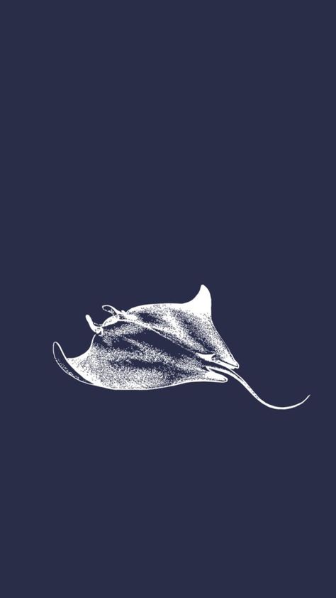 Phone Backround, Ocean Tattoos, Iphone Wallpaper Photos, Manta Ray, New Phones, Stingray, Sea Animals, Poster Wall, Favorite Color