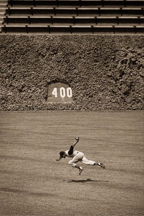 Vintage Sports Photography, Baseball Images, Baseball Romance, Forbes Field, Pirate Pictures, Baseball Movies, Sports Campaign, Baseball Room, Roberto Clemente