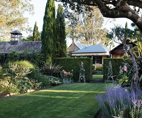 Australian Country Garden, Country Garden Australian, Glenmore House, Palm Springs Garden, Full Sun Garden, Scent Garden, Backyard Plan, Country Gardens, Lush Lawn