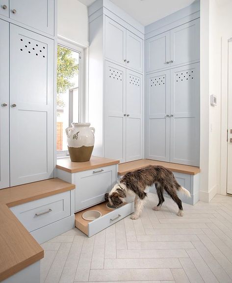 Built-in – Benjamin Moore: Silver Cloud 2129-70 Herringbone Tile Floors, Pet Feeding Station, Dog Feeding Station, Dog Washing Station, Mudroom Laundry Room, Mudroom Ideas, Mudroom Design, Mudroom Laundry, Laundry Mudroom