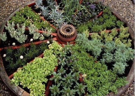 Artsy Garden, Roda Gerobak, Wagon Wheel Garden, Growing Calendar, Kitchen Gardens, Herb Gardens, Outdoor Stuff, Herb Pots, Plant Ideas