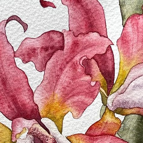 Unger EasyArt on Instagram: "Orchid.. watercolor🧡 Орхидея.. акварель 🩷  #waterblog #watercolorbotanicals #illustrationnow #inspiring_watercolors #aquarelle #watercolorpainting #botanicalartist #flowerpainting #botanicalillustration #floralwatercolor #botanicalart #botanicalpainting #capturingcolour #botanicalwatercolor #акварель #floralpainting #peinture #inspiredbynature #watercolour #watercolorillustration #акварельнаятехника #watercolorflowers #watercolorartist #watercolourflower #watercolor_daily #watercolorart #aquarela #watercolor_guide #acuarelas #art_we_inspire" Watercolor Orchids Painting, Watercolor Orchids, Orchid Watercolor, Watercolor Orchid, Watercolor Guide, Orchids Painting, Floral Illustration, Botanical Painting, Botanical Watercolor