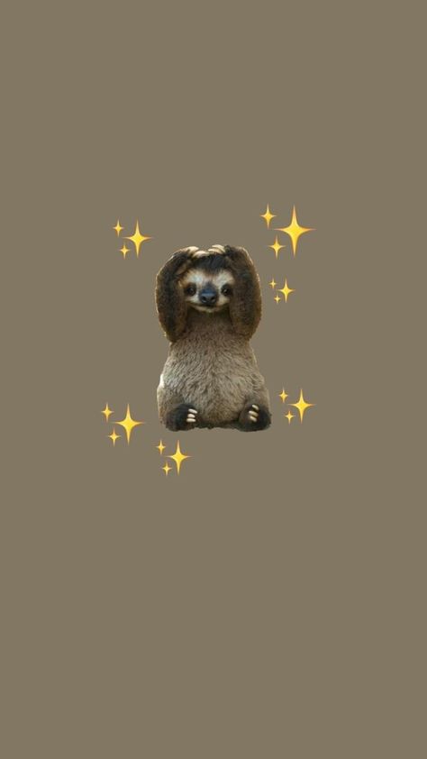 Cute Sloth Wallpapers Aesthetic, Sloth Aesthetic Wallpaper, Cute Sloth Wallpapers, Sloth Aesthetic, Sloth Wallpaper, Cher Wallpapers, Sloth Stuff, Cute Sloth, Cellphone Wallpaper