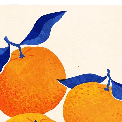 Rebecca Hollingsworth on Instagram: "🍊🍊🍊

Loving this colour combo! 💙🧡

Hope you’re all having a lovely weekend! ☀️ 
.
.
.
.
.
. 
©️ @rh_illustration 
#drawing #foodillustration #illustration #designer #illustrator #foodillustrator #womenillustrators #illustrationoftheday #texture  #fruit #femaleillustrator #orangeillustration #illustrated_now #fruitillustration #picame #womenofillustration #orange #clementine #tangerine #illustrationartist #printandpattern #spring #tempuradesign #dailychallenge #weareillustration #colour #illustration_daily #foodillustrations #digitalillustration #theydrawandcook" Tangerine Drawing, Orange Fruit Illustration, Colour Illustration, Have A Lovely Weekend, Fruit Illustration, Colour Combo, Daily Challenges, Orange Fruit, Illustration Artists