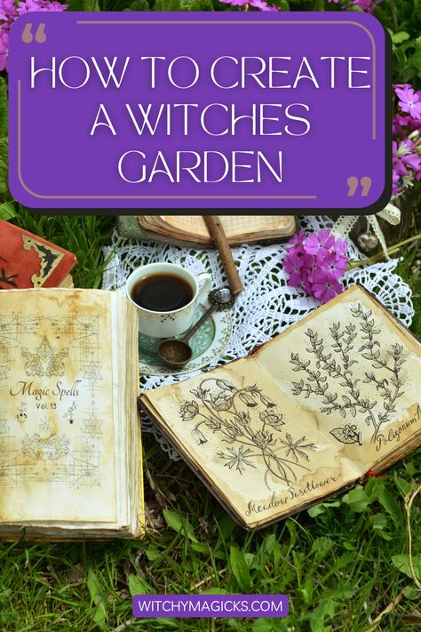 Transform your space into an enchanted sanctuary with a witch's garden! Discover the art of selecting the perfect location, considering sunlight, soil quality, and the natural energies of the space. #WitchesGarden #EnchantedSanctuary #WitchyWisdom Witches Garden Ideas, Witch Garden Ideas, Witchy Garden Decor, Witches Garden Plants, Gardening Witchcraft, Witch's Garden Design, Witch Garden Plants, A Witches Garden, Witch Garden Aesthetic