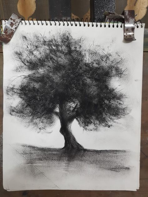 Charcoal Tree Sketch, Charcoal Stick Art, Chalk Tree Drawing, Beginner Charcoal Drawing, Coal Drawing Easy, Graphite Drawings Beginner, Carbon Drawings, Charcole Sketch, Charcoal Art Landscape