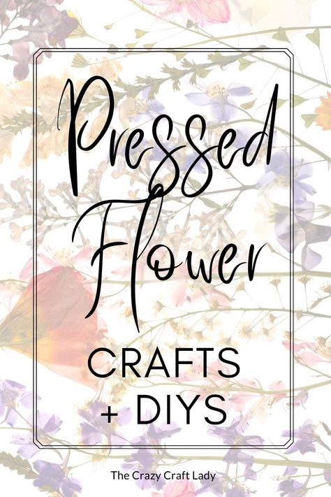 If you're looking for a unique art and craft to add to your home's decor or give as a gift, you'll love these Pressed Flower Crafts. Pressed Flowers Diy, Dried Flowers Diy, Lantern Craft, Pressed Flower Crafts, Mod Podge Crafts, Flowers In Jars, Flower Bookmark, Pressed Flower Art, Floral Craft