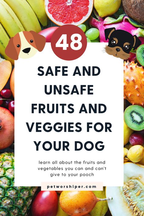 Pet care is a crucial topic for me, and the most important part of that is proper nutrition. I guess it’s not unfamiliar to you fact that vegetables and fruits are very beneficial for dogs.

However, some harmful alternatives are worth avoiding. I want you not to be confused, so I’ve put together a detailed list for you where you can find the best vegetables and fruits dogs can eat. I will also include the harmful options. Fruits And Vegetables Dogs Can Eat, Fruit That Dogs Can Eat, Fruits For Dogs Healthy, Vegetables Dogs Can Have, Dog Safe Fruits And Veggies, Can Dogs Have Strawberries, What Fruits Can Dogs Eat, Healthy Puppy Snacks, Best Veggies For Dogs