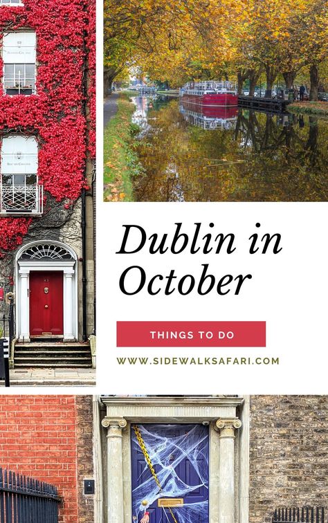 Dublin is a city that loves to celebrate, and there are plenty of events and festivals happening throughout the year. Here is a guide to the best events and festivals happening in Dublin in October. Click to learn more about the best events and festivals happening in Dublin in October. Things To Do In Dublin, Spooky Castles, Visit Dublin, European City Breaks, Dublin Travel, Dublin Airport, European City, Safari Travel, Travel Around Europe