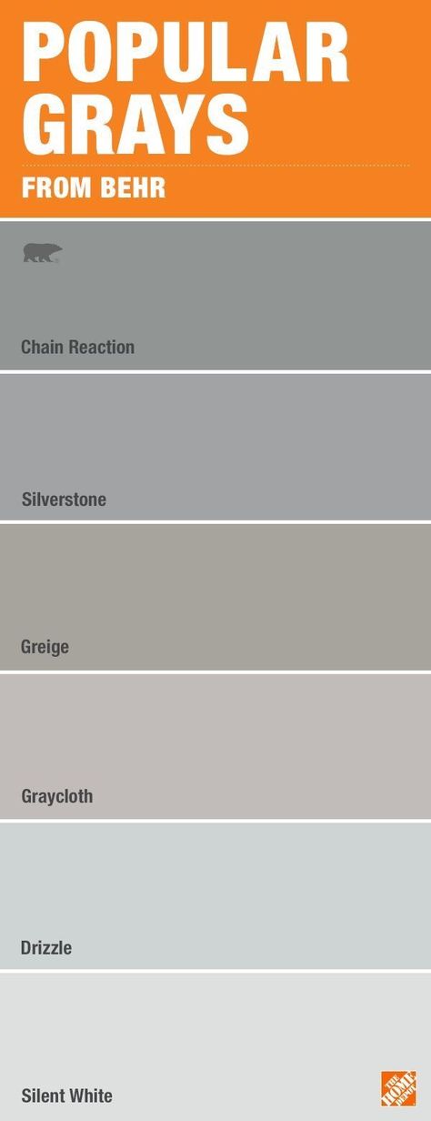 Gray paint Flipping Homes, Color Thesaurus, Home Depot Paint, Gray Living Room Design, Living Room Designs Small Spaces, Grey Paint, Small Space Living Room, Reno Ideas, Hallway Ideas