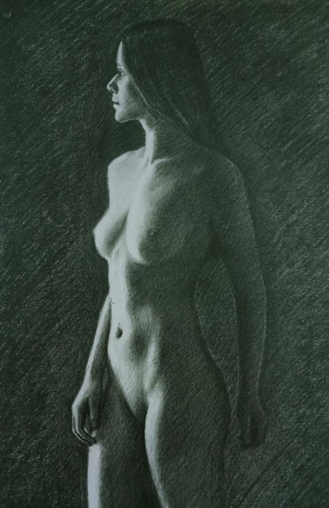 Pencil on paper Human Anatomy Art Female, Female Figure Drawings, Painting Body Figures, Figure Sketching Female, Pose Reference Drawing Female Bodies, Women Figure Sketch, Figure Drawing Reference Poses Models, Woman Anatomy Reference, Nude Pencil Drawing