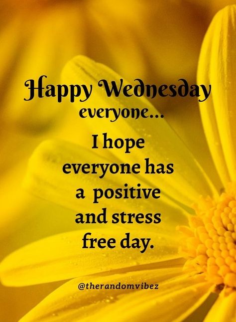 Good Morning Everyone Happy Wednesday, Wednesday Positive Quotes Motivation, Best Wednesday Quotes, Happy Wednesday Quotes Positive Thoughts Motivation, Happy Wednesday Quotes Positive Thoughts, Wensday Quotes, Quotes For Wednesday, Wednesday Motivation Quotes, Funny Wednesday Quotes