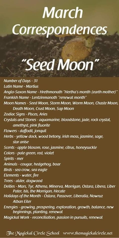 March Correspondences, Month Correspondence, Lunar Witch, Moon Zodiac, Moon Meaning, Moon Names, Lunar Magic, Moon Magick, Moon Reading