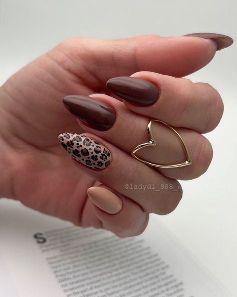 31 Ideas for Fall Leopard Nails 2024 - Fall Update 2024 Fall Leopard Nails, Gold Leopard Nails, Nails October, Leopard Nail Designs, Leopard Nail Art, Brown Nails Design, Elegant Nail Designs, Fall Nail Trends, Leopard Print Nails