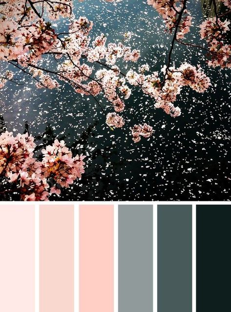 This Gorgeous photo makes me want to stand below that cherry tree, get showered by blossoms and twirl around like I'm in the Sound of Music LOL. Fun aside, what do you think of today's Color Inspiration? Blush Pink, Gray and Black. So elegant. Feminine, but not girly. Love it 😍 Pink Color Combination, Blush And Grey, Grey Color Palette, Color Palette Pink, Ideas Photography, Bath Room, Colour Board, Bathroom Colors, Photography Nature