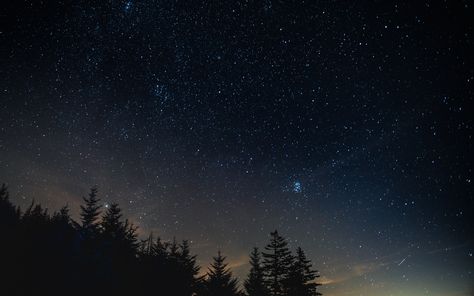 Wallpaper starry sky, night, trees, night landscape 1440 X 900 Wallpaper, Coldplay Moodboard, 1440x900 Hd Wallpaper, 1440x900 Wallpaper, Night Trees, Watercolor Night Sky, Night Architecture, Pc Desktop Wallpaper, Worship Backgrounds