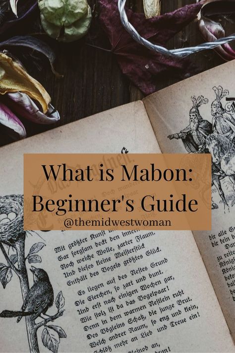 Mabon is around the corner and I couldn't be more excited! If you are just starting your witchcraft journey or are looking for information about the upcoming sabbath this post is for you! Learn about the history of Mabon, how to celebrate, and correspondences! Autumnal Equinox Celebration, Wicca Holidays, Pagan Magick, Gaia Goddess, Kitchen Witch Recipes, Beginner Witch, Autumn Witch, Solstice Celebration, Autumnal Equinox