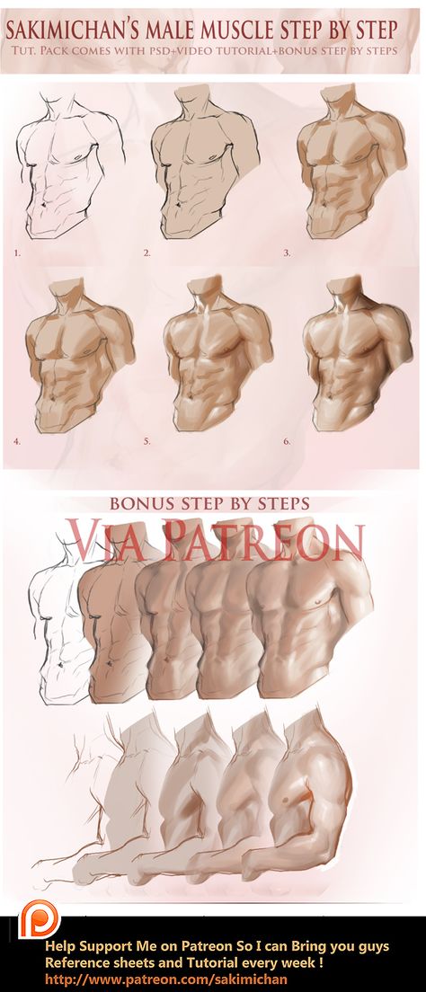 Male Muscle, Anatomy Tutorial, Human Anatomy Drawing, Anatomy Sketches, Body Reference Drawing, Body Anatomy, Coloring Tutorial, Anatomy Drawing, Digital Painting Tutorials