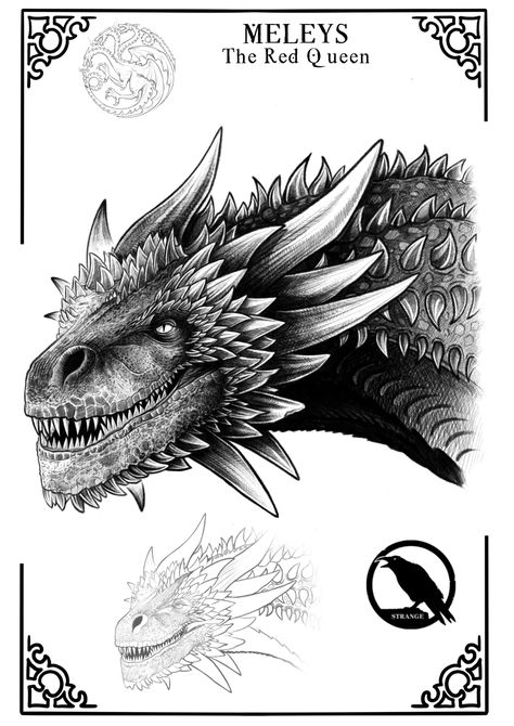 Meleys Dragon Tattoo, Targaryen Tattoo Ideas, House Of The Dragon Tattoo, Game Of Thrones Drawings, Dessin Game Of Thrones, Drogon Game Of Thrones, Game Of Thrones Tattoo, Medieval Dragon, Game Of Thrones Artwork