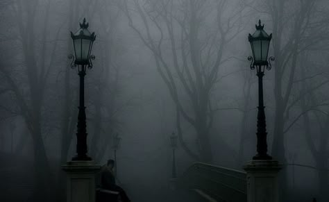 Victorian Gothic Aesthetic, Dark Gothic Aesthetic, Last Bell, Gothic Landscape, Victorian Ghost, Gothic Images, Concrete Leaves, Victorian Vampire, Goth Vibes