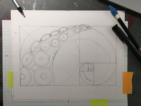 heidi horchler — Using references and developing style (or) The Fibonacci Tentacle Drawing Tentacle Drawing, Smith Chart, Golden Ratio Art, Fibonacci Golden Ratio, Types Of Graphs, Steam Lessons, College Math, Octopus Squid, Fibonacci Spiral