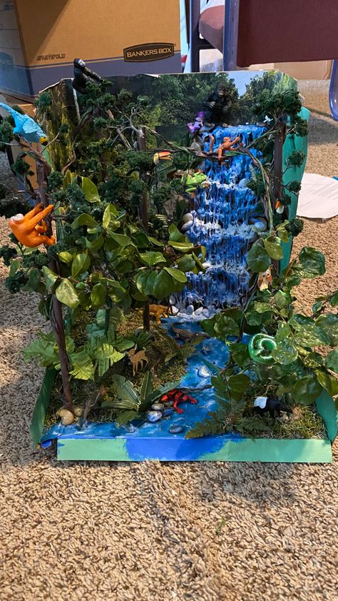 Sloth Habitat Diorama, Tropical Rainforest Ecosystem Project, Aquatic Biome Project, Nature Diorama Ideas, Rainforest Diaroma Ideas, Coniferous Forest Biome Project, Rain Forest Biome Project, Fresh Water Biome Project Ideas, Ecosystems Projects Shoebox Ocean