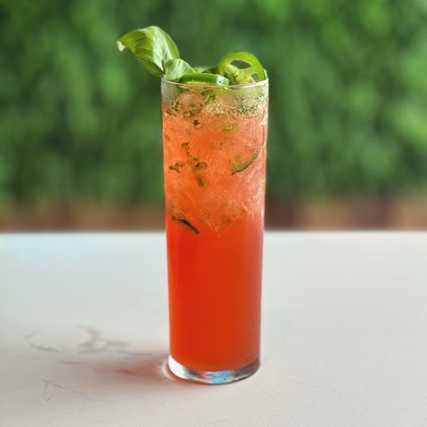 This mouth watering Watermelon Basil Cooler is the perfect way to end your Summer! Stop in this month to try our September “Drink Green” cocktail of the month, featuring fresh, locally grown @north.shore.living basil AND hand-crafted @racquetclubspirits vodka. #drinkgreen #northshoreliving #freshbasil #racquetclubspirits #watermelondrink #cheers #summerdrink #cocktail #drinkofthemonth #bar #cocktails Watermelon Cooler Cocktail, Watermelon Basil, Watermelon Cooler, Watermelon Drink, Bar Cocktails, Green Cocktail, Locally Grown, Fresh Basil, North Shore