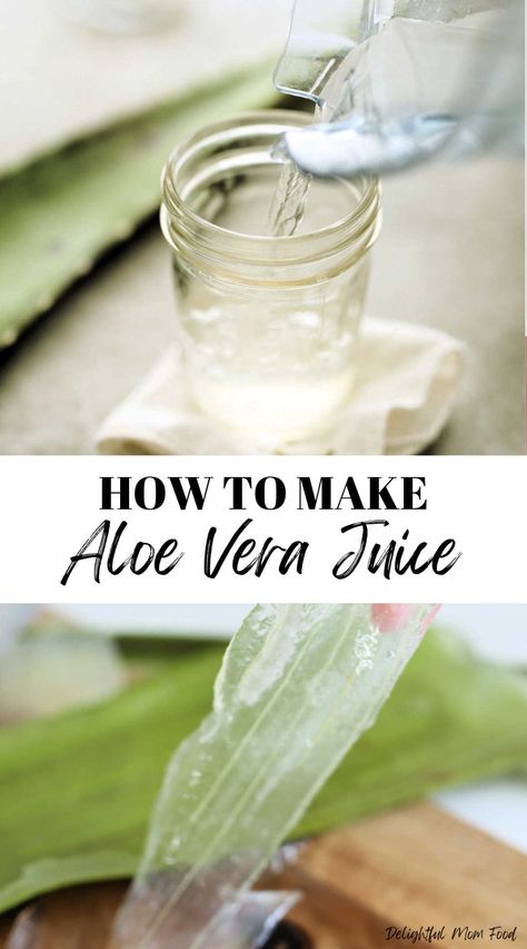 Learn how to make aloe vera juice at home with 2 ingredients. With just a few easy steps, you can enjoy a homemade elixir that captures the essence of aloe vera's nourishing properties. I share how to cut an aloe leaf plant to get the gel and how to use it to create an aloe vera drink that suits your taste and diet. Homemade Elixir, Aloe Vera Juice Recipes, Diy Aloe Vera Gel, Aloe Vera Juice Benefits, Aloe Vera Diy, Oatmeal Ideas, Aloe Drink, Blueberry Banana Smoothie, Aloe Vera Drink