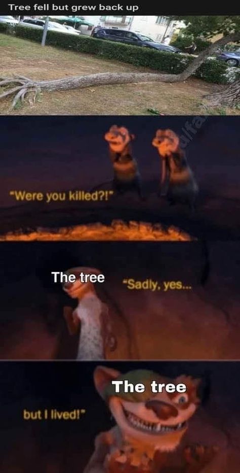 Ice Age Memes Funny, Ice Age Funny, Ice Age Movies, Tree Felling, Ice Age, Memes Funny, Disney Pixar, Pixar, Disney