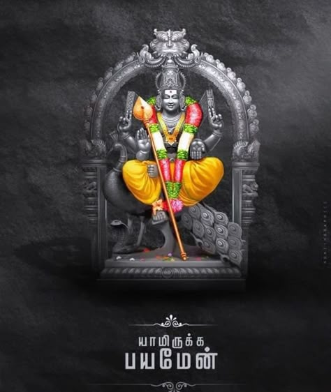 Lord Murugan Hd Wallpaper For Desktop, Devine Background, Lord Murugan Wallpapers 1080p, Lord Palani Murugan Hd Wallpaper, Murugan Hd Wallpaper, Lord Murugan Hd Wallpaper 4k, Baby Murugan Paintings, Murugan Images, Lord Buddha Wallpapers