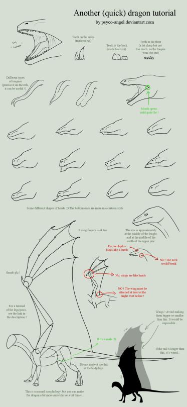 For People Bad at Arts Dragon Sketches, Draw A Dragon, Drawing Dragon, Dragon Anatomy, Sketches Ideas, Illustration Tutorial, Dragon Sketch, Drawing Drawing, Creature Drawings