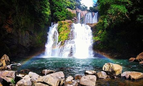 Waterfall Costa Rica, Manuel Antonio Costa Rica, Extreme Adventure, Visit Costa Rica, Wonders Of Nature, Nature Hikes, Monteverde, Best Places To Travel, Flora And Fauna