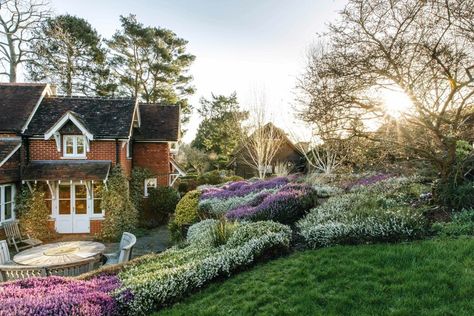 Heather Garden, Sloping Garden, Heather Gardens, Homes In Ireland, Heather Plant, Winter Words, Sloped Garden, Natural Contour, Front Lawn